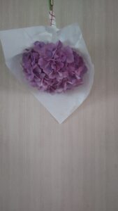半紙、紫陽花